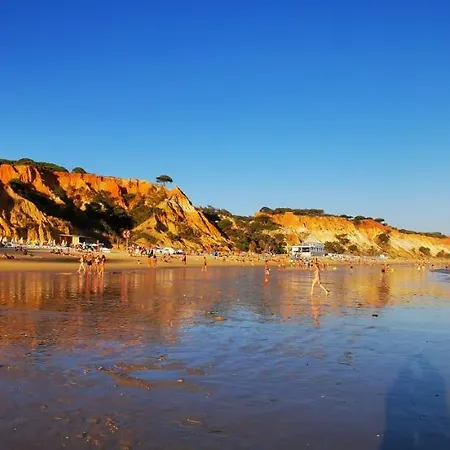 Olhos De Agua 公寓