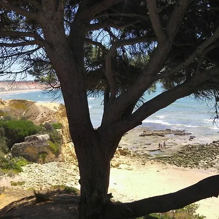 Olhos De Agua * Αλμπουφέιρα